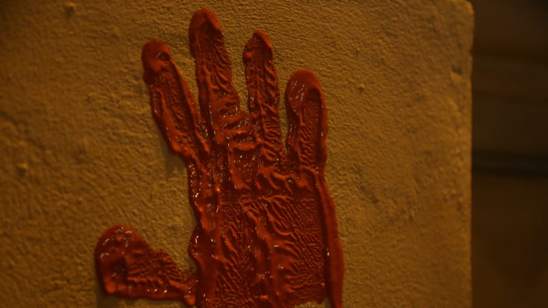 Prasečí hlavy, rudé otisky, Davidovy hvězdy. Jak ruská hybridní válka ve Francii sílí