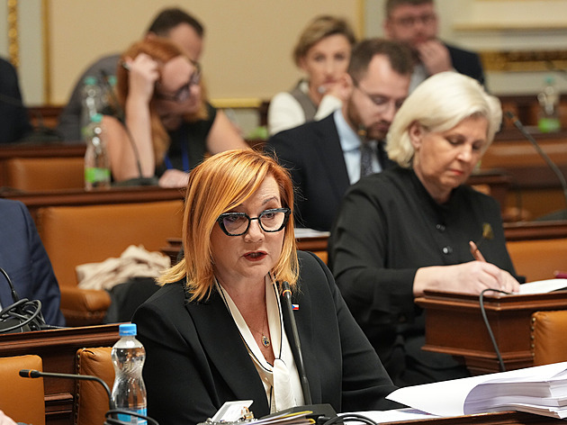 ANO, SPD a Motoristé odmítají návrh rozpočtu. Je v rozporu se zákonem, říkají