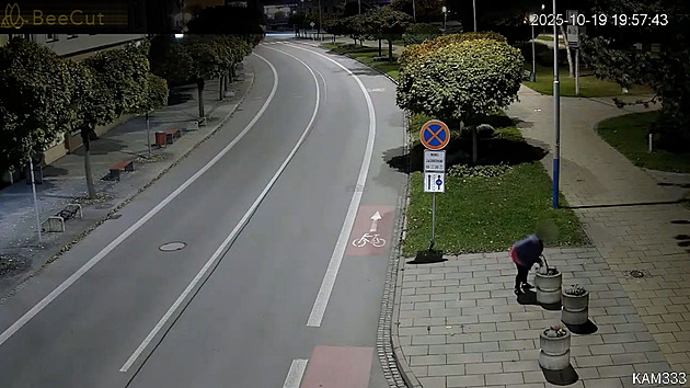 Žena brala kytky z městských květináčů přímo před kamerou, sázela si je u domu