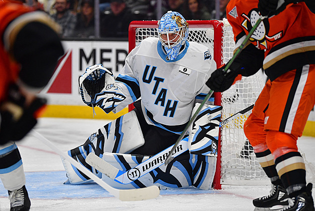 Vejmelka vynuloval Anaheim, Dobeš slavil výhru nad Winnipegem