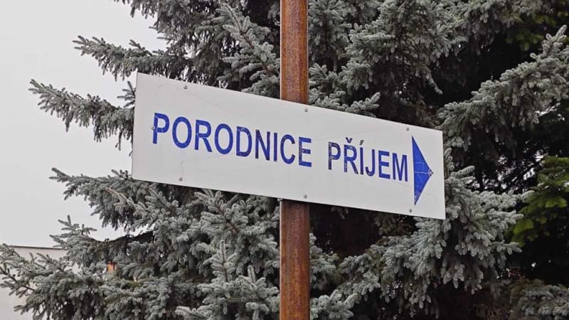 Smrt dětí v litoměřické porodnici? Zarážející věc, míní Rath. Odhadl výši odškodného