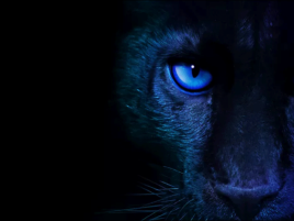 4× Panther Lake v PassMark: Výkon od 6 jader Zen 2 po 13 % nad 8 jádry Zen 4