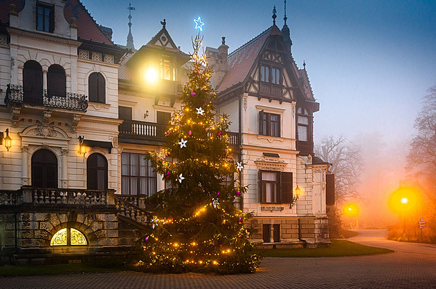 Zlínská zoo zve na vánoční návštěvu, od Štědrého dne mají děti vstup za korunu