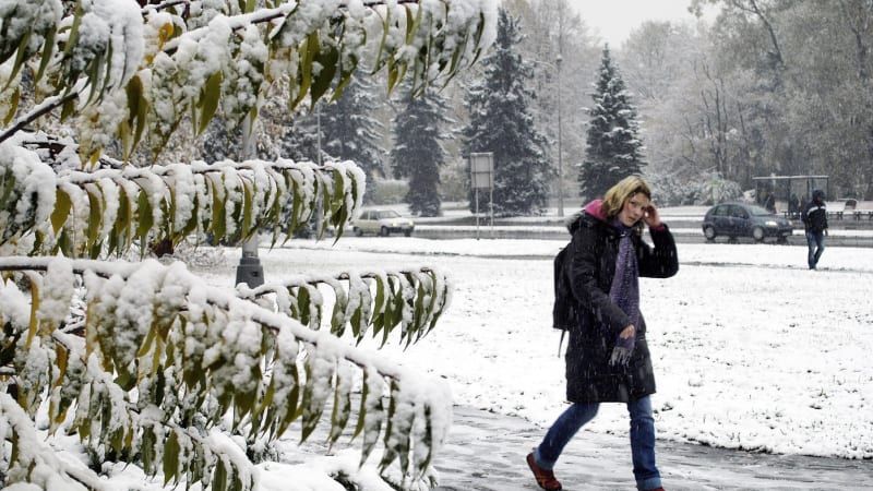 RADAR: Česko zasype sníh. Napadnout by v dalších dnech měly i desítky centimetrů