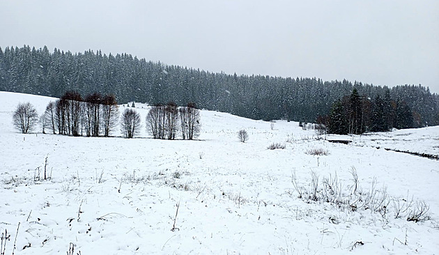 Na přelomu roku bude v Česku vydatně sněžit, hrozí závěje