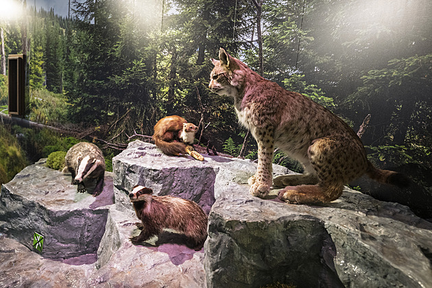 Promítání i hra pro děti. V šumavské Kvildě po opravě otevřeli vytížené infocentrum