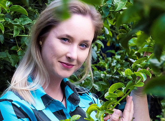 Avokádo odstopkujte už v obchodě, radí Češka pěstující ovoce na „Kanárech“