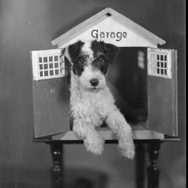 Dobové fotografie i vzorníky exportních domů. Muzeum digitalizovalo své poklady