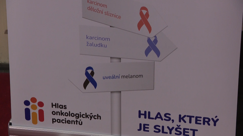 Konec boje o termíny pacientů s rakovinou. Pomůže onkologický koordinátor, zařídí i vyšetření