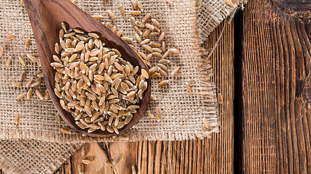 Proč vyzkoušet špaldu? Obilí našich předků má stále co nabídnout