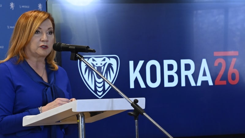 Vláda zřídí „Kobru 26“ proti zaměstnávání načerno. Schillerová čeká výnos desítek miliard