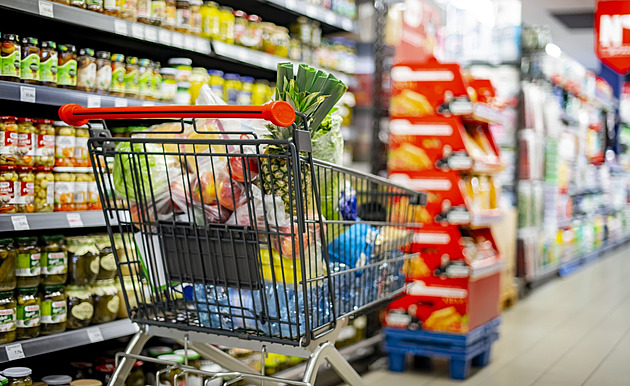 Velké obchody by se o svátcích mohly otevřít. Návrh má i podporu Motoristů