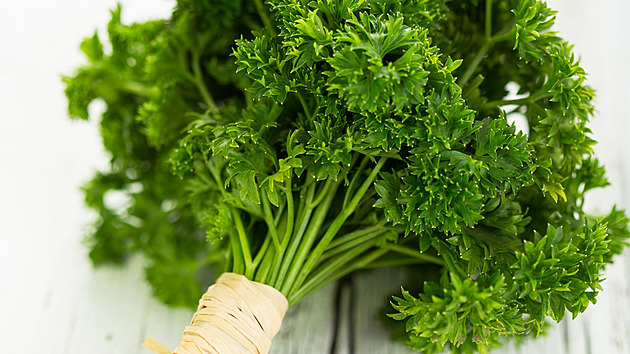 Proč je petržel víc než jen „to zelený v polívce“? Objevte její super schopnosti