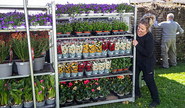 V Olomouci startuje jarní květinová výstava Flora, inspirovala ji hudba