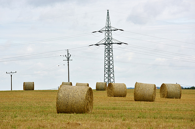 Dřívější sklizeň i jiné pěstební postupy. Zemědělci bojují s proměnou klimatu