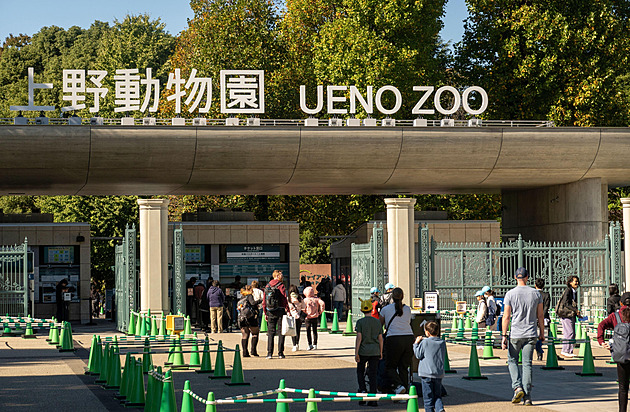 Japonské zoo čelí krizi. Docházejí peníze, personál, návštěvníci a dokonce i zvířata
