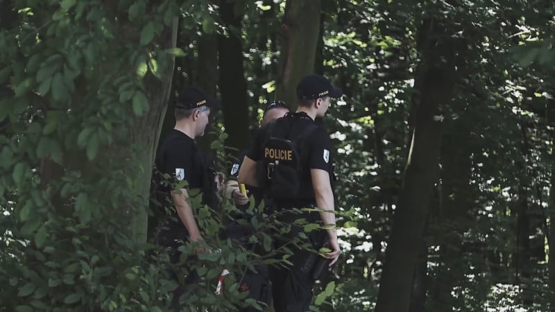 Tragický konec pátrání: U Frýdku-Místku našli tělo pohřešované maminky, policie řekla detaily